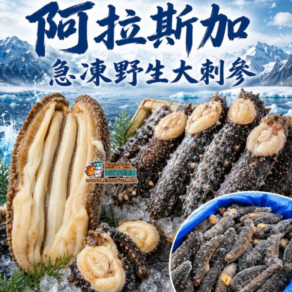 【大特價】阿拉斯加急凍野生大刺參