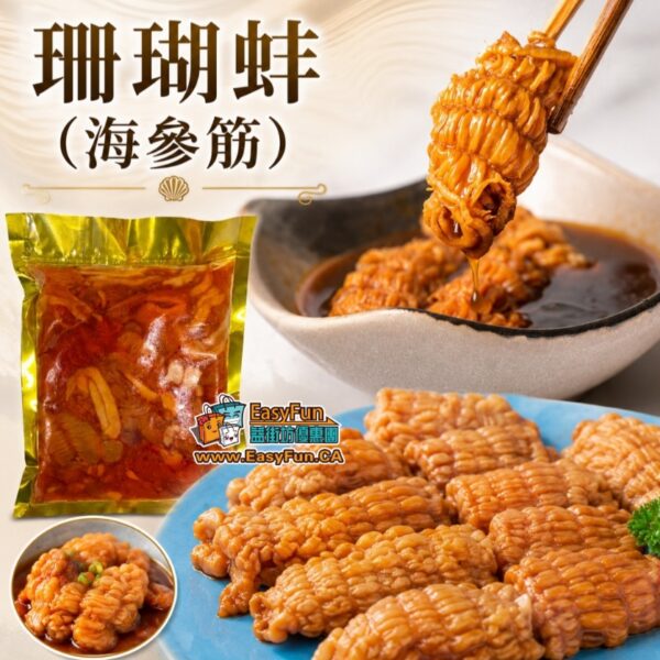 珊瑚蚌(海參筋)
