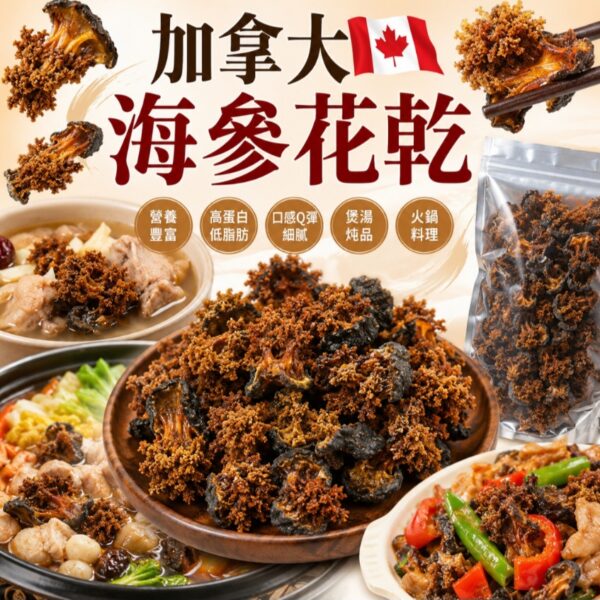 【買1送1】加拿大海參花乾