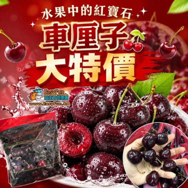 車厘子大特價