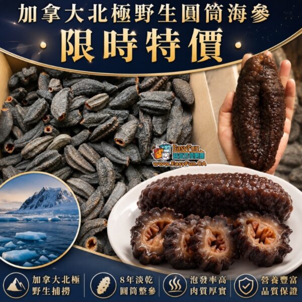 【限時特價】加拿大北極野生圓筒海參(30–35頭)