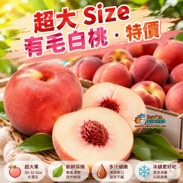 超大Size有毛白桃特價