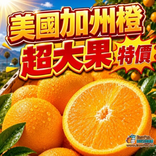 美國加州橙 48 size 超大果