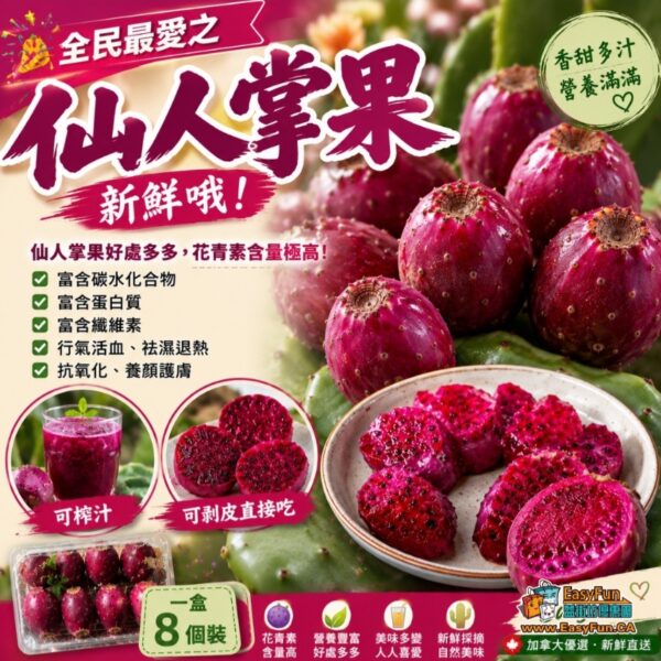 新鮮仙人掌果