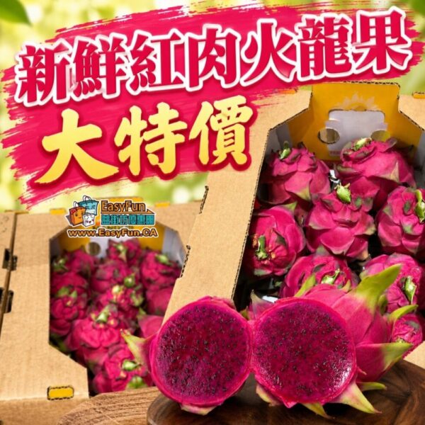 【特價】新鮮紅肉火龍果