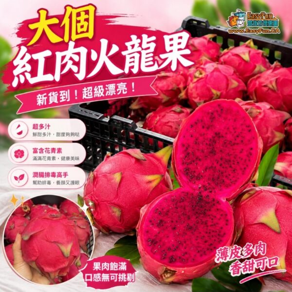 大個紅肉火龍果