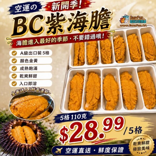 【快團一天】空運 BC 紫海膽