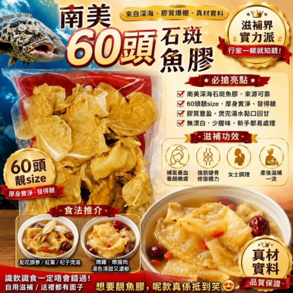南美60頭石斑魚膠