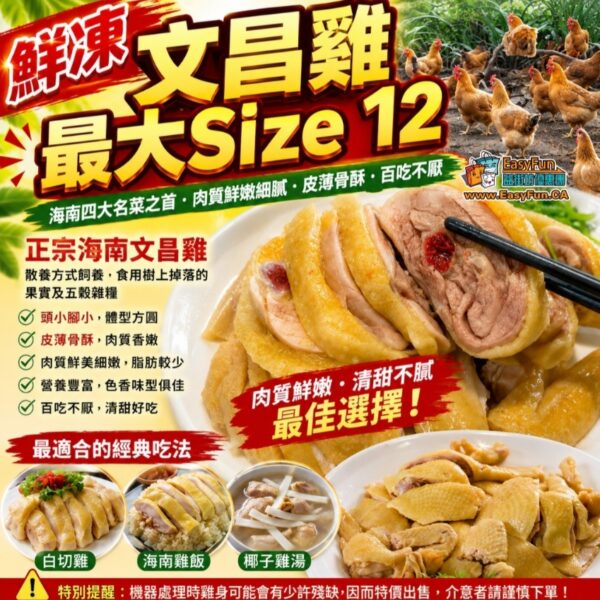 鮮凍文昌雞(Size 12)