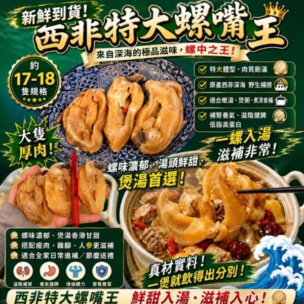 特大西非螺嘴王