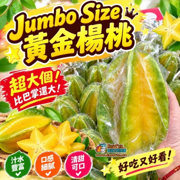 台灣 Jumbo Size 黃金楊桃
