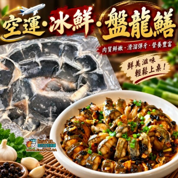 空運冰鮮盤龍鱔