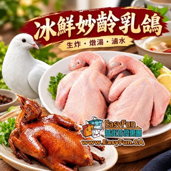 【福利特價】冰鮮妙齡乳鴿