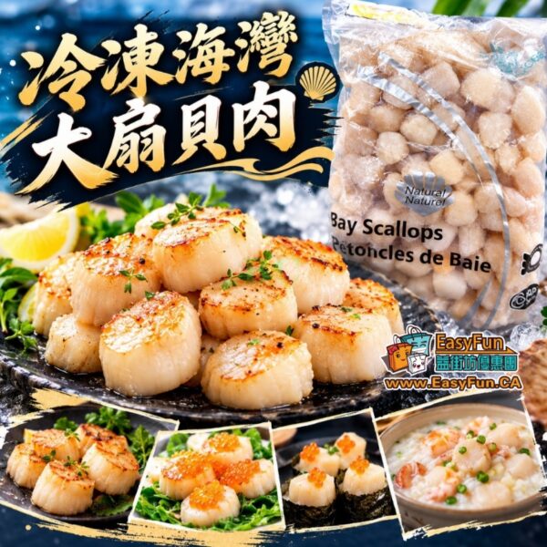 冷凍海灣大扇貝肉