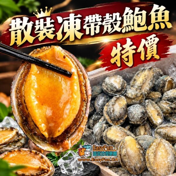 【特價】散裝凍帶殼鮑魚