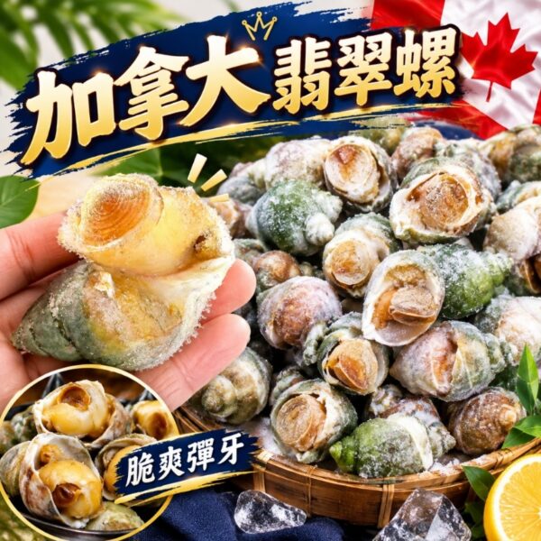 加拿大翡翠螺