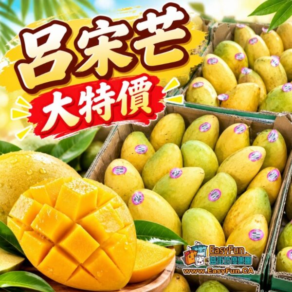 【大特價】呂宋芒
